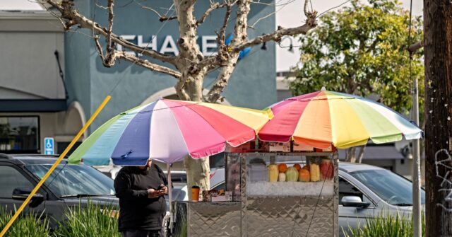 Report: Officials Fielded Thousands of Food Safety Violations by Illegal Street Vendors But Now Do Nothing