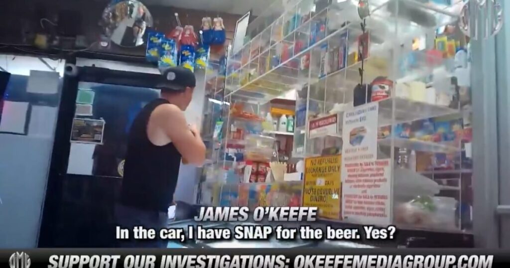 O’Keefe Media Group Drops Part 2 NYC Fraud: NYC Bodegas Caught Selling Alcohol Using SNAP and EBT Benefits (VIDEO)