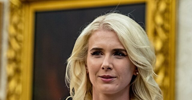 Nolte: Sleazy CNN Falsely Accuses Natalie Harp of ‘Jumping Into the Trunk’ of a ‘Car’