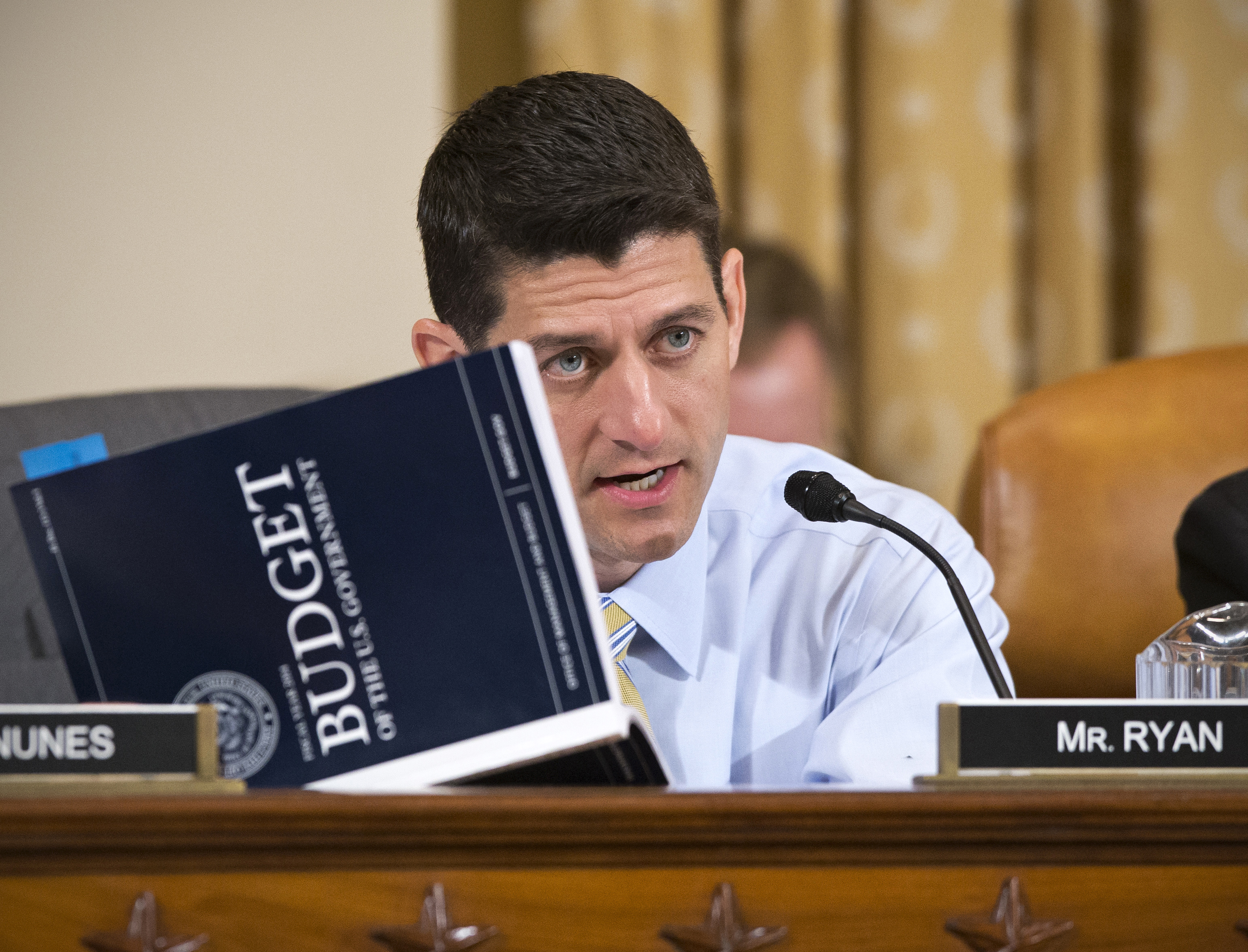 Ryan's plans to reform entitlement programs turned into political lightning rods.