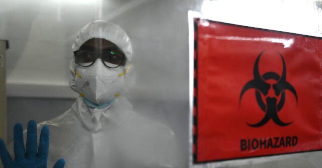 Biosecurity Alert: Stanford Researchers Use AI to Design 16 Viruses
