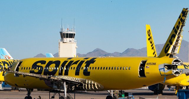 Privacy Hell: Google Buys Bankrupt Spirit Airlines’ Data Trove to Train AI Models