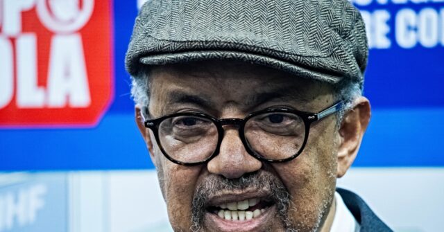 Meet the Candidates Vying to Succeed Tedros as Head of the W.H.O.