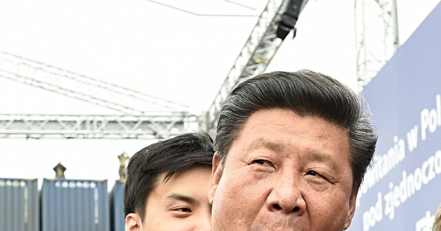 Xi Jinping Leads Meeting Celebrating Communist Party Response to Tibet Floods