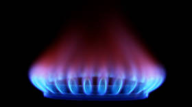 Ditching Russian gas cost Germany €50 bn – media