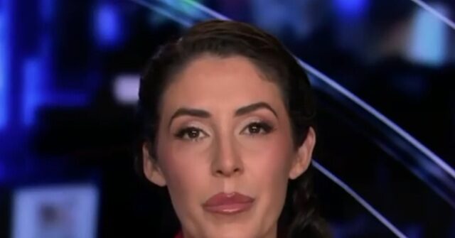 GOP Rep. Luna: DSA Congressional Hopeful Claire Valdez Pledge to ‘Fight for Mexico’ Is ‘Embarrassing’