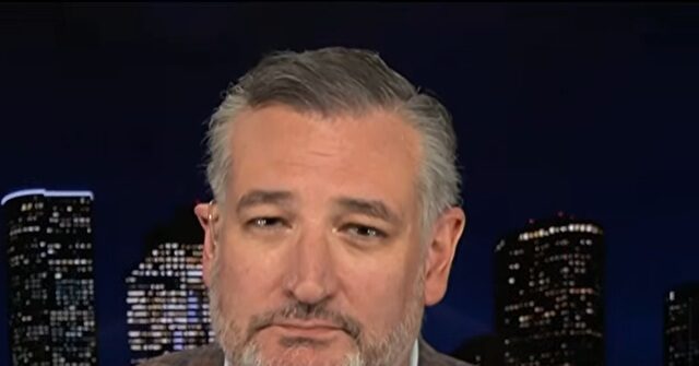 Ted Cruz Says Midterms ‘Entirely a Question of Turnout,’ Predicts the Left Will Turn Out