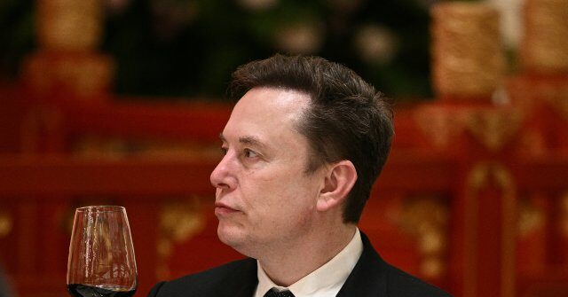 ‘Great Leader’: Elon Musk Lavishes Praise on Xi Jinping in Chinese State Media Interview