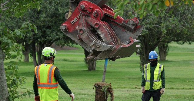 Exclusive: Trump’s Washington, DC Beautification Continues with East Potomac Park Cleanup
