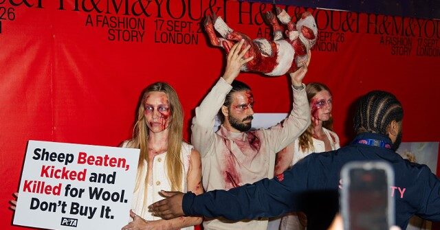 PETA Protesters Crash H&M Runway Show in London