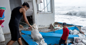 Pacific’s Hurricane Polo Prompts ‘Category 6’ Discussion