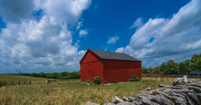 ‘Honor Our Farming Families’: Kentucky County Permanently Bans AI Data Centers