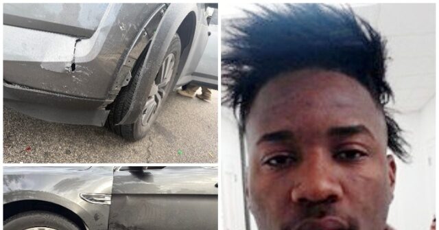 Cuban Illegal Alien Gets 10 Months, Fine for Ramming ICE Vehicles in San Antonio