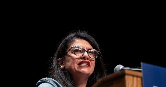 House Passes ‘Ratepayer Protection Act’ 417-3 to Address AI Data Centers, Rashida Tlaib Votes Against It