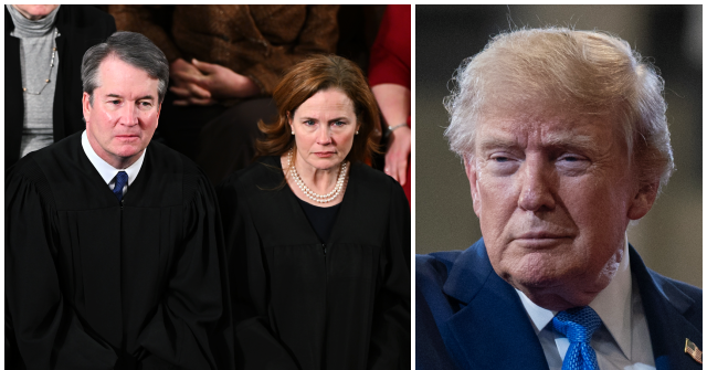 Trump Asks SCOTUS to Permit Voter Verification System Ahead of Midterms