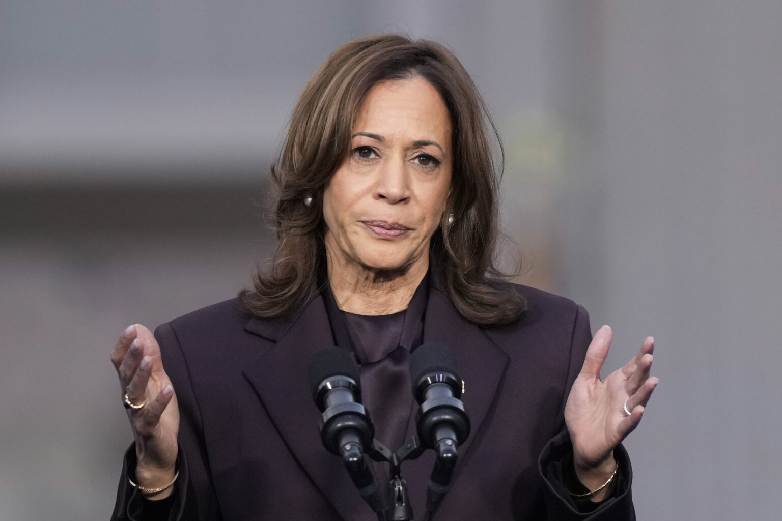 Kamala Harris on red-state Dems keeping her at arm's length: ‘Whatever they need to do to win’