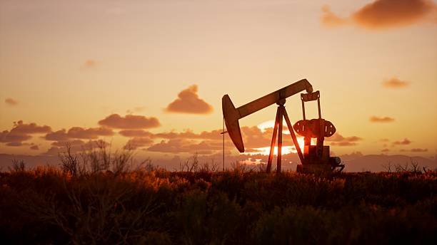 Doug Casey on the Coming Oil Shock—and Where Investors Could Profit