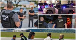 Harvard Harris Poll: 77 Percent Want All Migrant Criminals Deported