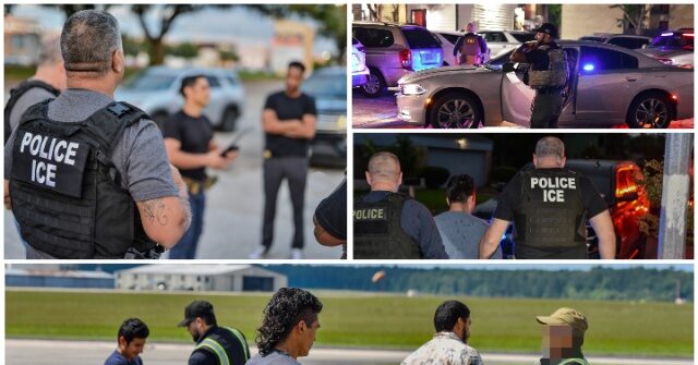Harvard Harris Poll: 77 Percent Want All Migrant Criminals Deported